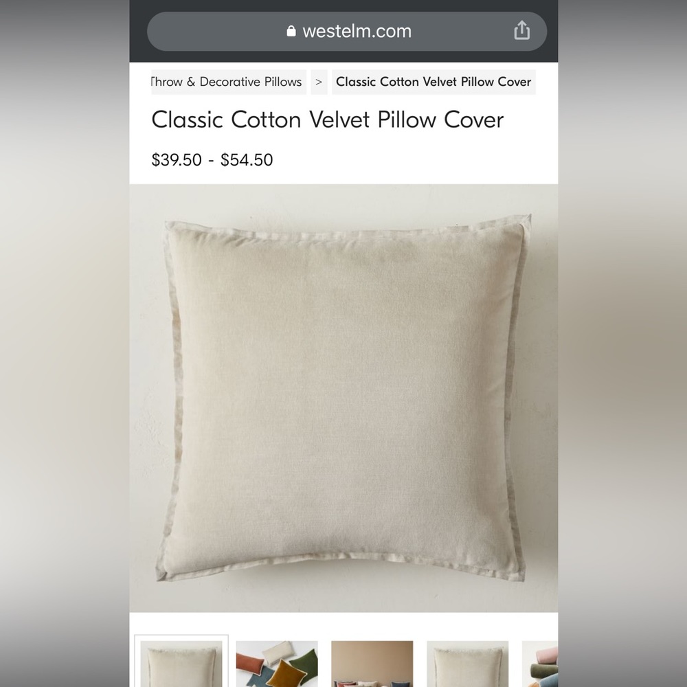 Pair of cotton velvet West elm 20 x 20 in pillow cases